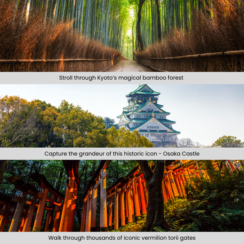 5D4N Historic Kyoto, Vibrant Osaka (1)