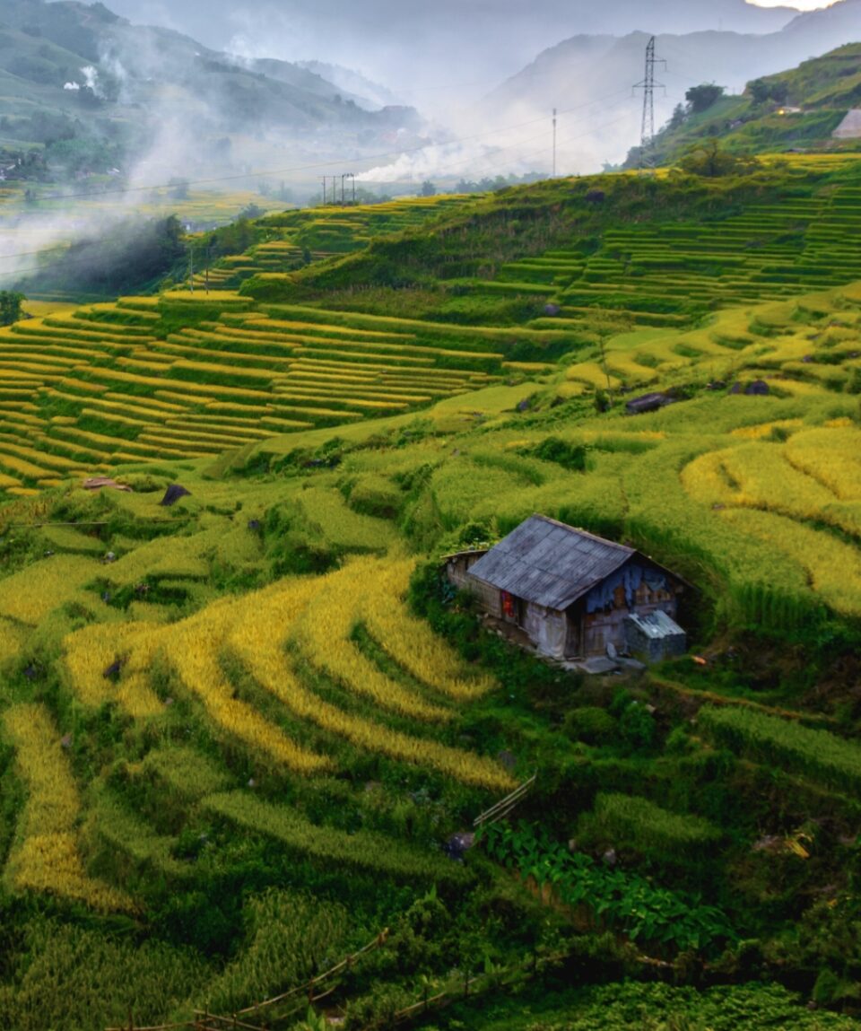 4D3N Sapa: Nature’s Masterpiece